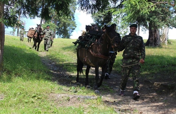 Вояки 61-ї бригади гірських стрільців під час маневрів